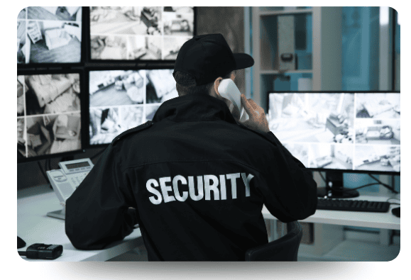 Artificial intelligence intrusion detection system